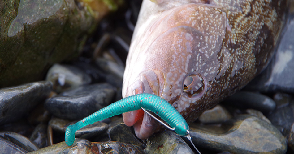 Salt Water Color Fish tail SHAD2.8 Salt Water Color Fish tail SHAD2.8
